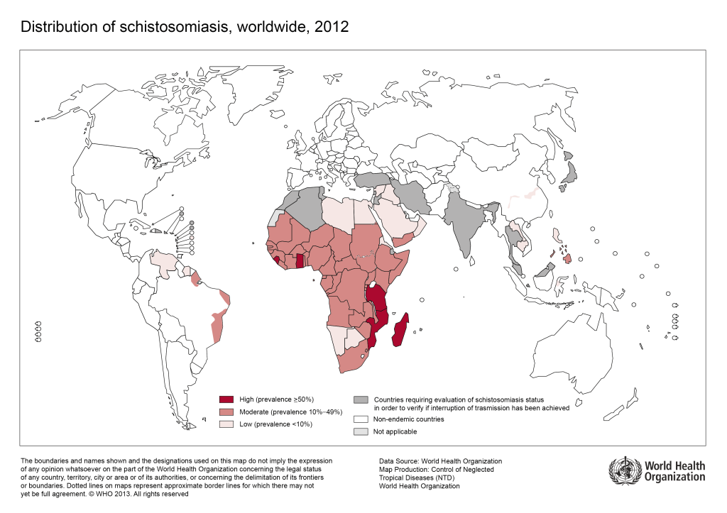 jemen schistosomiasis)