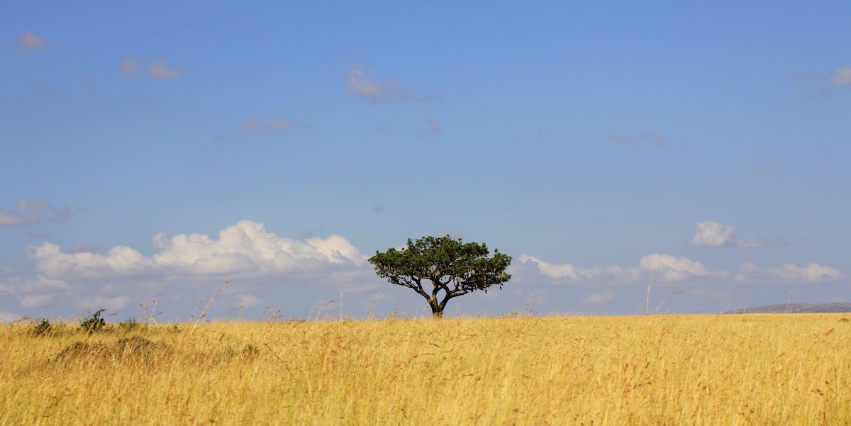 Kenya