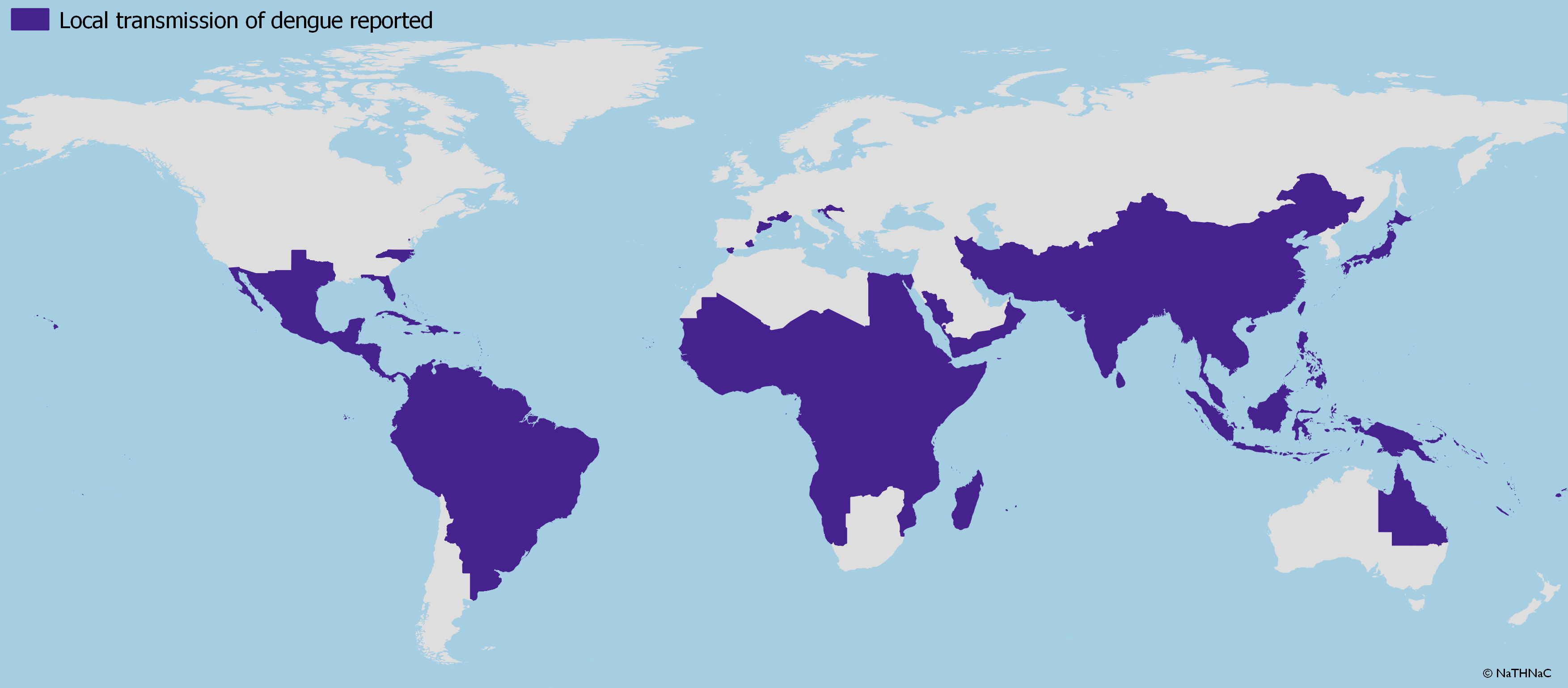 dengue map