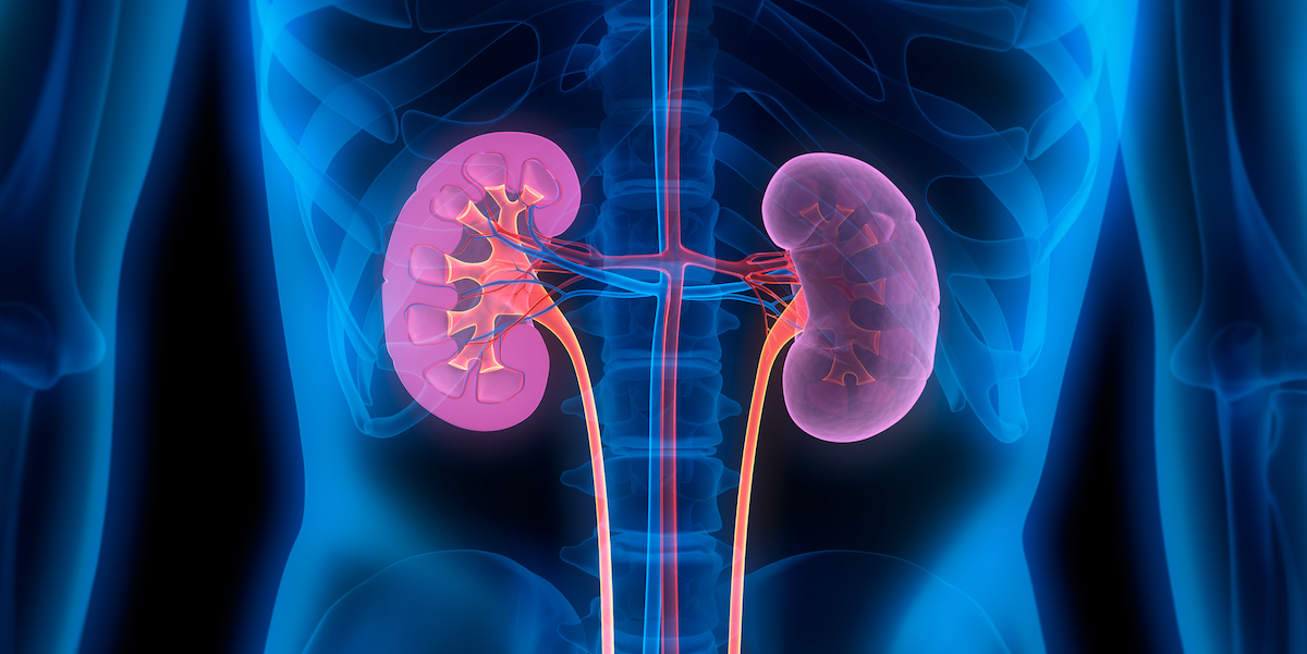 Kidney (renal) conditions