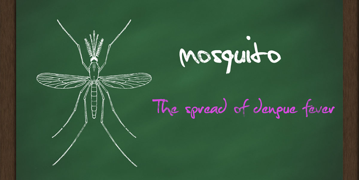 Qdenga® dengue vaccine guidance