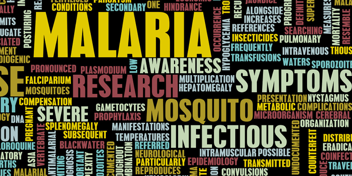 cdc pre travel malaria guidelines